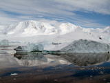 Neko Harbor, Antarctica, Polar Regions Photographic Print by Ethel Davies