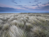 Twilight on the Dunes at Holme Nature Reserve, Norfolk, England Lámina fotográfica por Jon Gibbs Twilight on the Dunes at Holme Nature Reserve, Norfolk, England Lámina fotográfica por Jon Gibbs
