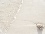 Conch Shell Washed Up on Grace Bay Beach, Providenciales, Turks and Caicos Islands, West Indies Photographic Print by Kim Walker