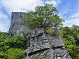 The Linderalique Rocks, Hienghene, East Coast of Grande Terre, Melanesia, South Pacific Photographic Print by Michael Runkel