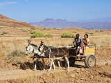 Damara Family, Damaraland, Kunene Region, Namibia, Africa Photographic Print by Nico Tondini