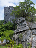 The Linderalique Rocks, Hienghene, East Coast of Grande Terre, Melanesia, South Pacific Photographic Print by Michael Runkel