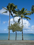 Beach in Noumea, New Caledonia, Melanesia, South Pacific, Pacific Photographic Print by Michael Runkel