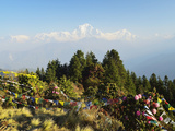 Dhaulagiri Himal, Annapurna Conservation Area, Dhawalagiri (Dhaulagiri), Nepal Photographic Print by Jochen Schlenker