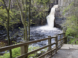 High Force in Upper Teesdale, County Durham, England Photographic Print by Mark Sunderland