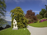 Gardens of Villa Melzi, Bellagio, Lake Como, Lombardy, Italian Lakes, Italy, Europe Photographic Print by Peter Barritt