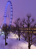 Houses of Parliament and London Eye in Winter, London, England, United Kingdom, Europe Fotografie-Druck von Stuart Black