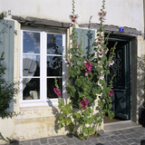 Typical Scene of Shuttered Windows and Hollyhocks, St. Martin, Ile de Re, Poitou-Charentes, France Photographic Print by Stuart Black