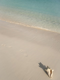 Conch Shell on Grace Bay Beach, Providenciales, Turks and Caicos Islands, West Indies, Caribbean Photographie par Kim Walker