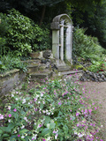 The Plantation Garden, Norwich, Norfolk, England, United Kingdom, Europe Photographic Print by Mark Sunderland