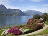 Gardens of Villa Melzi, Bellagio, Lake Como, Lombardy, Italian Lakes, Italy, Europe Photographic Print by Peter Barritt