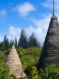 Tjibaou Cultural Center in Noumea, New Caledonia, Melanesia, South Pacific, Pacific Photographic Print by Michael Runkel