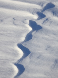 Snow Forms, Bosque del Apache National Wildlife Refuge, New Mexico, USA, North America Photographic Print by James Hager