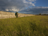 Burgh Castle, Great Yarmouth, Norfolk, England, United Kingdom, Europe Photographic Print by Charcrit Boonsom