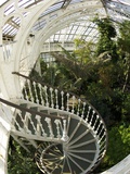 Staircase in Temperate House, Royal Botanic Gardens, UNESCO World Heritage Site, London, England Photographic Print by Peter Barritt