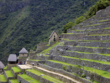 Agricultural Terraces , Machu Picchu, Peru, Lost City of Inca Rediscovered by Hiram Bingham in 1911 Photographic Print by Simon Montgomery