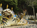 Tiger Statue, Tiger Cave Temple (Wat Tham Suea), Krabi Province, Thailand, Southeast Asia, Asia Photographic Print by Jochen Schlenker