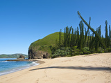 Wind Shaped Pine Trees in Bay Des Tortues, Grand Terre, New Caledonia, Melanesia, South Pacific Photographic Print by Michael Runkel