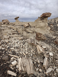 Petrified Wood in the Badlands on a Cloudy Day, San Juan Basin, New Mexico, USA, North America Photographic Print by James Hager