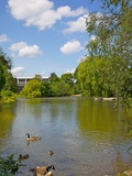 Queen's Park, Chesterfield, Derbyshire, England, United Kingdom, Europe Photographic Print by Frank Fell