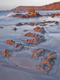 Dawn on Kennack Sands on the Lizard Peninsula in Cornwall, England, United Kingdom, Europe Photographic Print by Julian Elliott