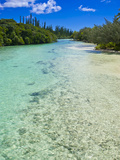 Bay de Oro, Ile Des Pins, New Caledonia, Melanesia, South Pacific, Pacific Photographic Print by Michael Runkel