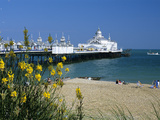 View over Beach and Pier, Eastbourne, East Sussex, England, United Kingdom, Europe Photographic Print by Stuart Black