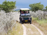 Ongava Game Reserve, Namibia, Africa Photographic Print by Nico Tondini