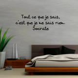 Tout ce que je sais c est que je ne sais rien Wall Decal by Socrate 