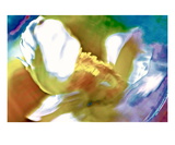 Wowza Blue Premium Giclee Print by Robin Sutliff