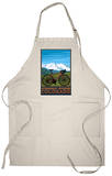 Steamboat Springs, CO - Mountain Bike Apron Apron