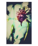 Thistle Night Premium Giclee Print by Robin Sutliff