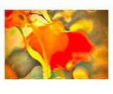 Remember Me Premium Giclee Print by Robin Sutliff