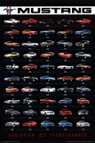 Ford Mustang Evolution Car Prints