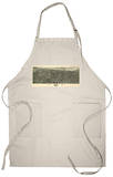 Tulsa, Oklahoma - Panoramic Map Apron Apron