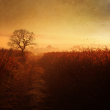 Locked Out Photographic Print by Philippe Sainte-Laudy