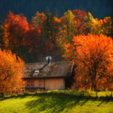 Stay the Night Photographic Print by Philippe Sainte-Laudy