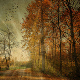 Ray Fall Photographic Print by Philippe Sainte-Laudy