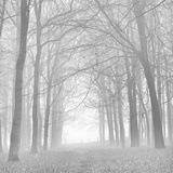 Morning Mists Iv Photographie par Doug Chinnery
