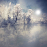 Endless Photographie par Philippe Sainte-Laudy