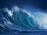 Hang Ten Photographic Print by Art Wolfe