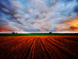 Peace of My Mind Photographic Print by Philippe Sainte-Laudy