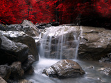 Red Vision Impressão fotográfica por Philippe Sainte-Laudy