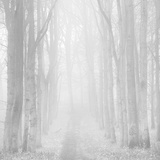 Morning Mists IIi Fotografie-Druck von Doug Chinnery