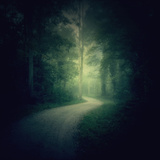 I'M Losing You Photographic Print by Philippe Sainte-Laudy