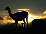 Night Fall Photographic Print by Art Wolfe