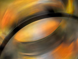 Palette automnale Reproduction procédé giclée par Ursula Abresch