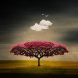 Medusa Cloud Photographic Print by Philippe Sainte-Laudy