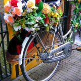 Dutch Flower-Power Bike Photographie par Magda Indigo