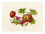 Cucurbita moschata, Ziziphus jujuba, Trapa bicornis, Cyphomandra crassicaulis Giclee Print by  Wang Lui Chi
